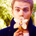 vampire-brothers-blog avatar