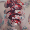 vampireninjadoll avatar