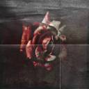 vampirewritesvampirewrongs avatar