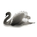 vampswan avatar