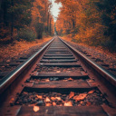 vandervalk440 avatar