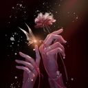 vanessa-butterfly-aa avatar