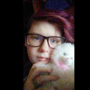 vaniel-reblogs avatar