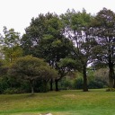 vanilla-ll-man avatar