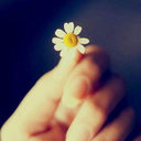 vanillafritter avatar