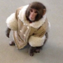 vanillaspice5-blog avatar