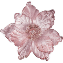 vanillesprincess avatar