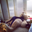 vanishing-disaster avatar