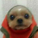 vanishingpoiint avatar