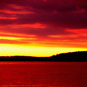 vanishwithnoguile avatar