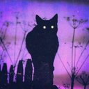 vannia-potato-blog avatar