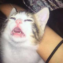 vaporwaveuwu-blog avatar