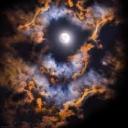 vapourwave-soup avatar