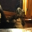 varaosavaltio avatar