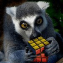 various-assorted-lemurs avatar