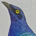 variousbirds avatar