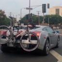 variousblogs38 avatar