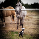 varnishroan-blog avatar