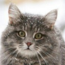 varvaraforeverchild avatar