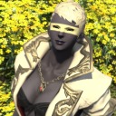 varyinglevelsofdisaster avatar