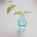 vasoblu-blog-blog avatar