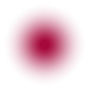 vcdkacranberry avatar