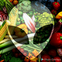 veganfromouterspace avatar