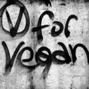 veganstreets avatar