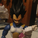 vegetafreak avatar