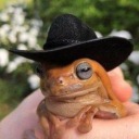 veggiegremlin avatar