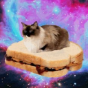 veggiesauruscat avatar