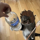 vellichor-lover avatar