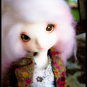 vellsdolls-blog avatar