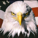 velociraptor0000-blog avatar