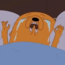 velociraptor57 avatar