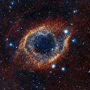 velocityprincess avatar