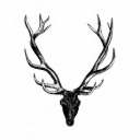 velvetandantlers avatar