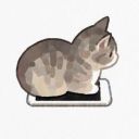 velvetarchivejpg avatar