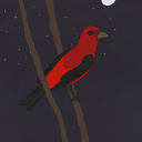 velveteenshadow avatar