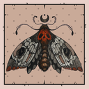 velvetmoonmoth avatar