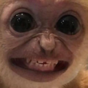 velvetrooibos avatar