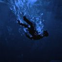 velvetwrappedashes avatar