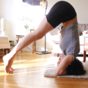 velvetywhims-blog avatar