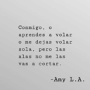 venapudrirteconmig0 avatar