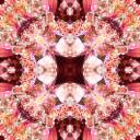 venchi-cremino avatar