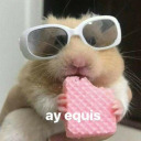 vendedoradecaricias avatar