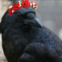 vendorofshine100 avatar