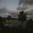 veneciastefania avatar