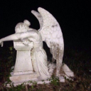 venomhoneyandtea avatar