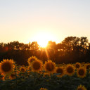 venomyouth-blog avatar